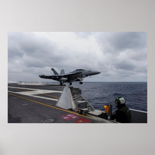 EA-18G Growler Poster (Voorkant)