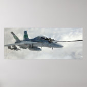 EA-18G Growler Poster (Voorkant)