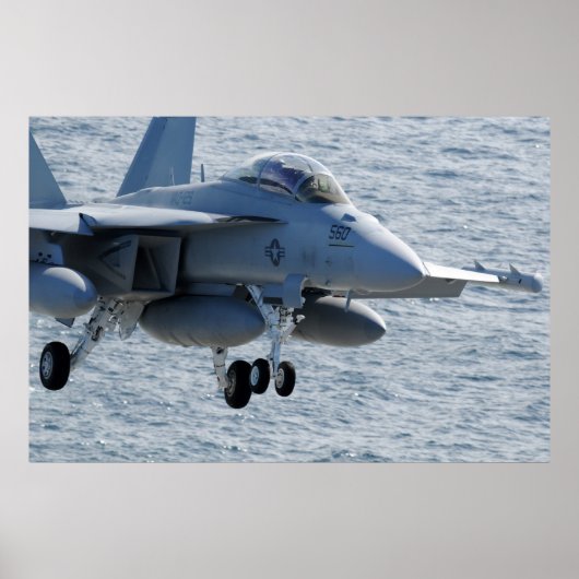EA-18G Growler Poster (Voorkant)