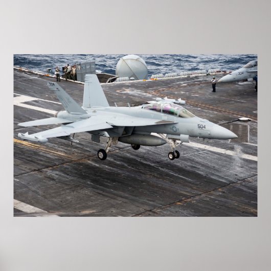 EA-18G Growler Poster (Voorkant)