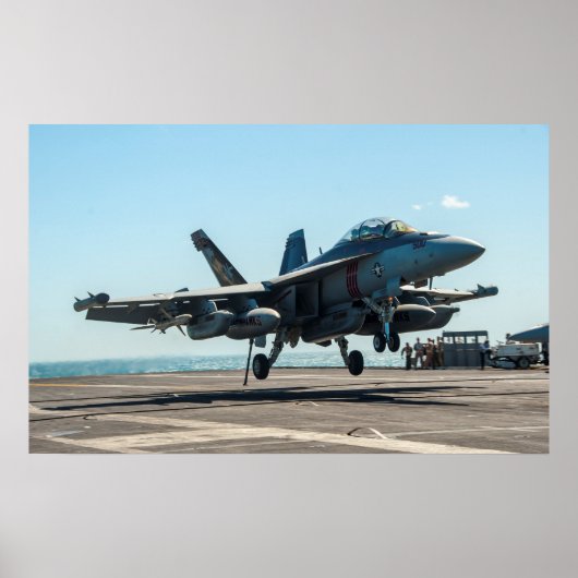 EA-18G Growler Poster (Voorkant)