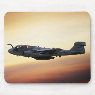 EA-6B Prowler Muismat