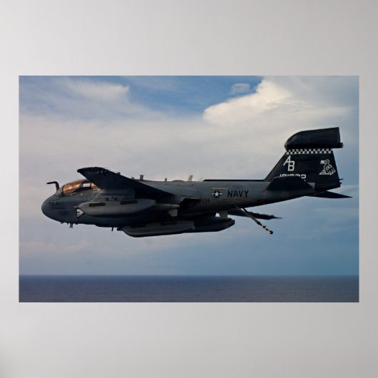 EA-6B Prowler Poster (Voorkant)