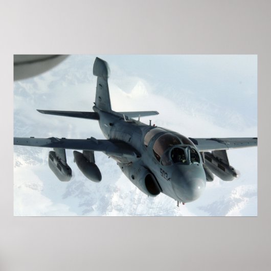EA-6B Prowler Poster (Voorkant)