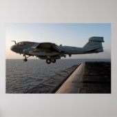 EA-6B Prowler Poster (Voorkant)