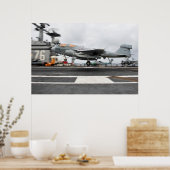 EA-6B Prowler Poster (Keuken)
