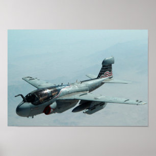 EA-6B Prowler Poster