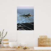 EA-6B Prowler Poster (Keuken)