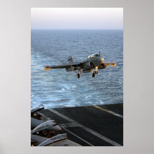 EA-6B Prowler Poster (Voorkant)