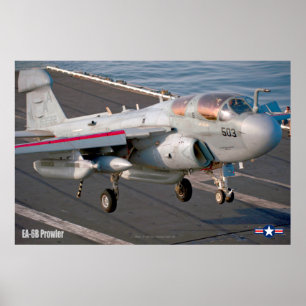 EA-6B-PROWLER POSTER