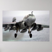 EA-6B Prowler Poster (Voorkant)