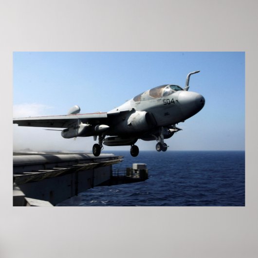 EA-6B Prowler Poster (Voorkant)