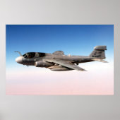 EA-6B Prowler Poster (Voorkant)