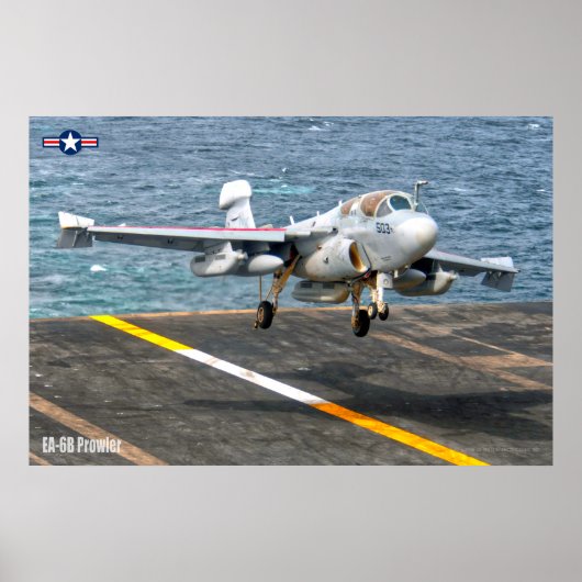 EA-6B-PROWLER POSTER (Voorkant)