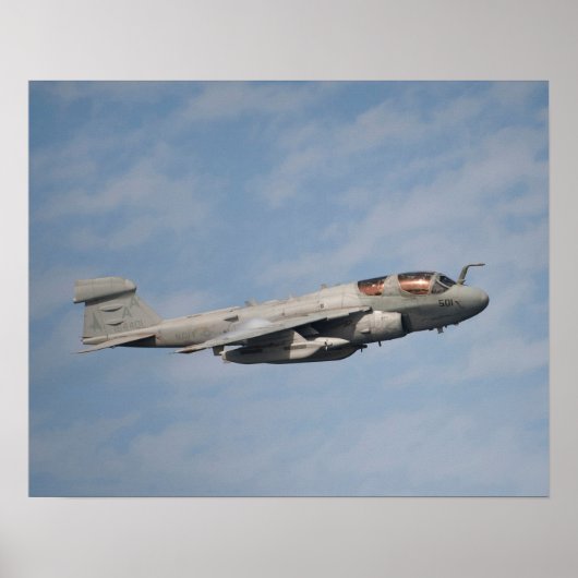 EA-6B Prowler Poster (Voorkant)
