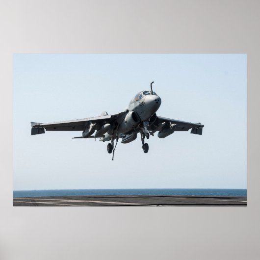 EA-6B Prowler Poster (Voorkant)