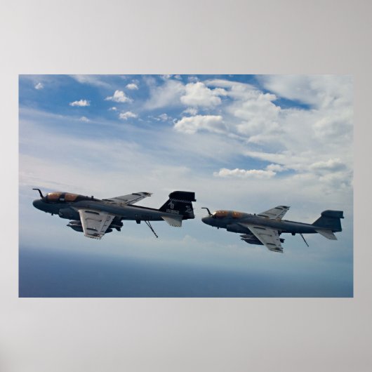 EA-6B Prowler Poster (Voorkant)