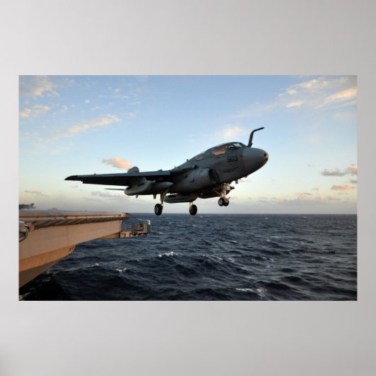 EA-6B Prowler Poster (Voorkant)