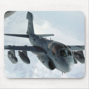 Ea-6B sluiper Muismat