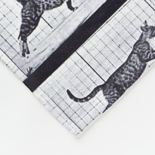 EADWEARD MUYBRIDGE: Kat Walking - Fleecy Blanket Fleece Deken (Hoek)