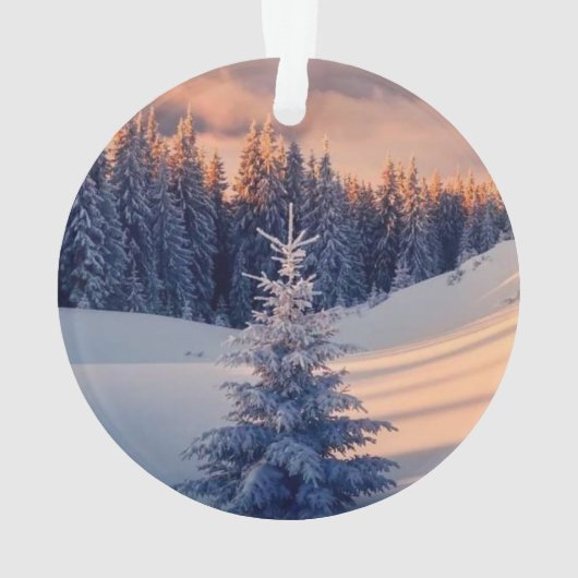 Eaëlsdecoratie Ornament (achterkant)