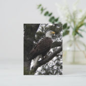 Eagle 10 briefkaart (Staand voorkant)
