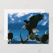 Eagle 19 briefkaart (Voorkant / Achterkant)