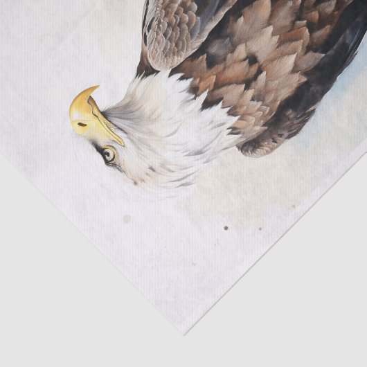Eagle 1 Decoupage papier (Detail)