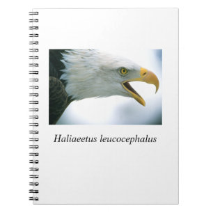 Eagle#1 Notitieboek