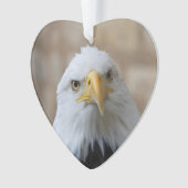 Eagle_2015_0201 Ornament (voorkant)