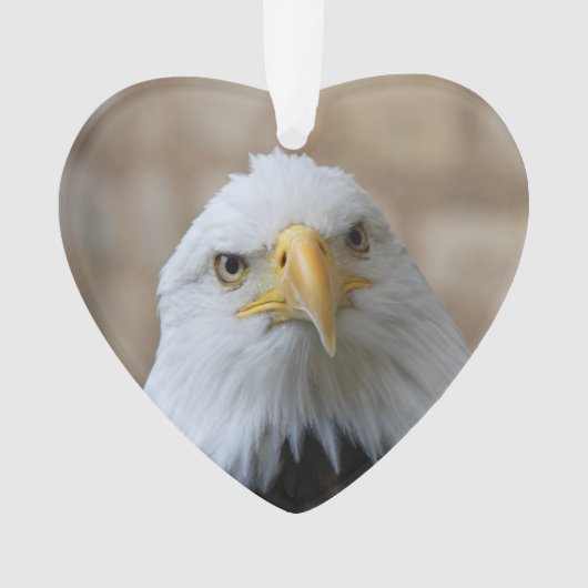 Eagle_2015_0201 Ornament (voorkant)