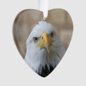 Eagle_2015_0201 Ornament (voorkant)