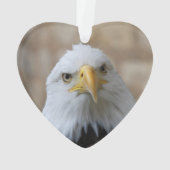Eagle_2015_0201 Ornament (achterkant)