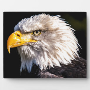 Eagle 2 fotoplaat