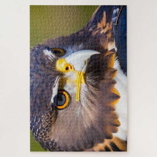 Eagle 2 legpuzzel (Verticaal)