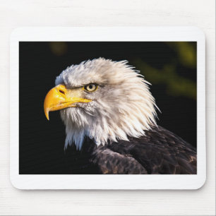 Eagle 2 muismat