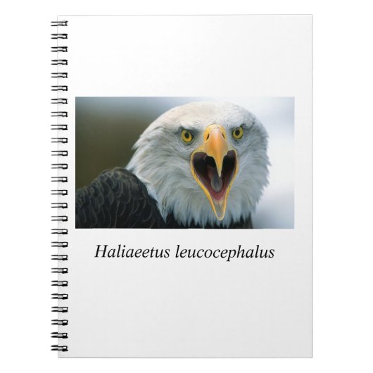 Eagle#2 Notitieboek (Voorkant)