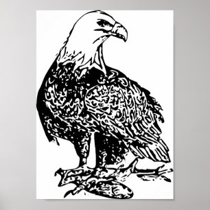 Eagle 2 Print, waardevol Poster papier (mat)