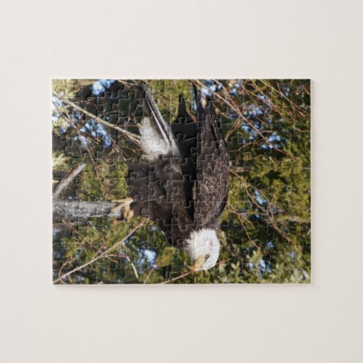 Eagle 7 legpuzzel (Horizontaal)
