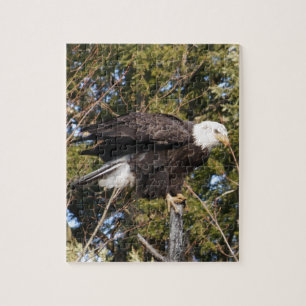 Eagle 7 legpuzzel