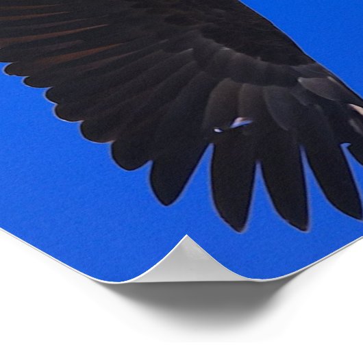 Eagle against a blue sky poster (Hoek)