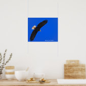 Eagle against a blue sky poster (Keuken)