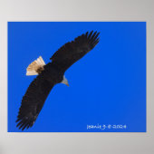 Eagle against a blue sky poster (Voorkant)