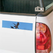 Eagle and Arrow Weather vane blue skys Bumpersticker (Op Truck)