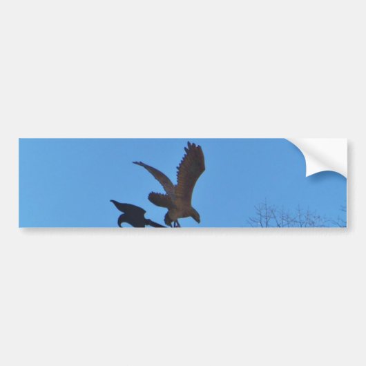 Eagle and Arrow Weather vane blue skys Bumpersticker (Voorkant)