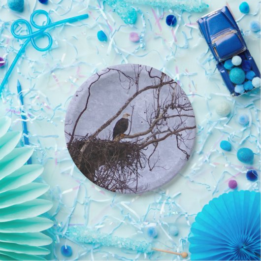 Eagle and Nest Painterly Papieren Bordje (Feest)