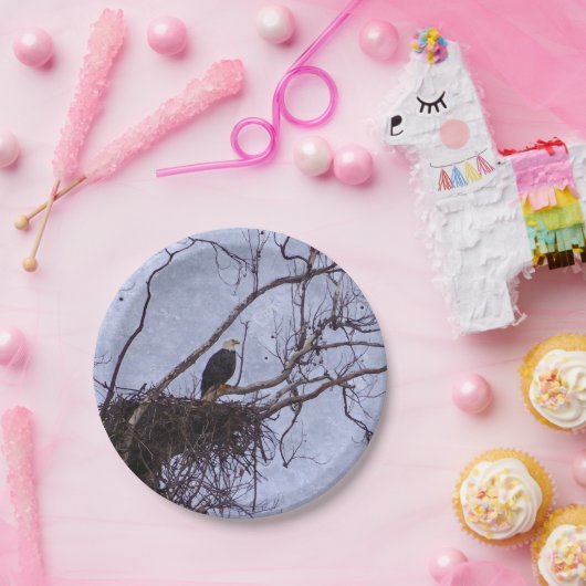 Eagle and Nest Painterly Papieren Bordje (Feest)