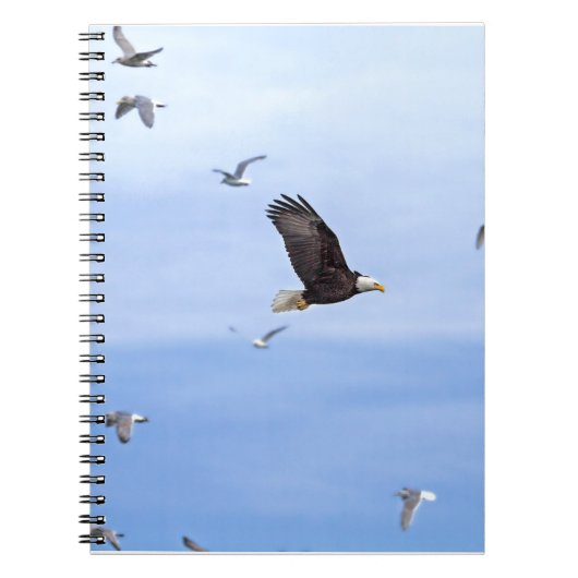 Eagle and Seagulls Flying Notitieboek (Voorkant)
