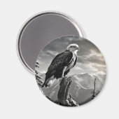 Eagle Animal Bird Wild Natuur Ink Schets Stijl Magneet (Voorkant / Achterkant)