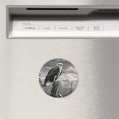 Eagle Animal Bird Wild Natuur Ink Schets Stijl Magneet (Insitu (Vaatwasser))